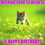 Every time I smile God Kills a Kitten | SCAMPERING OVER TO WISH SEANA; A HAPPY BIRTHDAY! | image tagged in every time i smile god kills a kitten | made w/ Imgflip meme maker