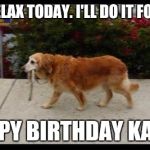 dog walking itself | YOU RELAX TODAY. I'LL DO IT FOR YOU. HAPPY BIRTHDAY KAREN | image tagged in dog walking itself | made w/ Imgflip meme maker