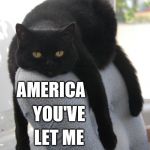 Draped Cat Be Like | IF IT'S BETWEEN TRUMP AND HILLARY; AMERICA; YOU'VE; LET ME; DOWN! | image tagged in black cat draped on chair,draped cat,trump and hillary,donald trump and hillary clinton,america you've let me down | made w/ Imgflip meme maker