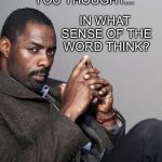 Idris Elba | IN WHAT SENSE OF THE WORD THINK? YOU THOUGHT... | image tagged in idris elba | made w/ Imgflip meme maker