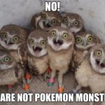 The Case of Mistaken Identity | NO! WE ARE NOT POKEMON MONSTERS | image tagged in surprised ownls,pokemon go | made w/ Imgflip meme maker
