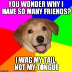 Advice Dog | YOU WONDER WHY I HAVE SO MANY FRIENDS? I WAG MY TAIL, NOT MY TONGUE | image tagged in memes,advice dog | made w/ Imgflip meme maker