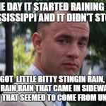 Forest Gump | ONE DAY IT STARTED RAINING IN MISSISSIPPI AND IT DIDN'T STOP... WE GOT  LITTLE BITTY STINGIN RAIN, BIG OLE FAT RAIN,RAIN THAT CAME IN SIDEWAYS, AND EVEN RAIN THAT SEEMED TO COME FROM UNDERNEATH | image tagged in forest gump | made w/ Imgflip meme maker
