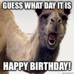 Camel | GUESS WHAT DAY IT IS; HAPPY BIRTHDAY! | image tagged in camel | made w/ Imgflip meme maker