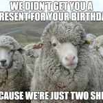 Sheep Flock | WE DIDN'T GET YOU A PRESENT FOR YOUR BIRTHDAY; BECAUSE WE'RE JUST TWO SHEEP | image tagged in sheep flock | made w/ Imgflip meme maker