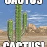 cactus | CACTUS; CACTUS! | image tagged in cactus | made w/ Imgflip meme maker