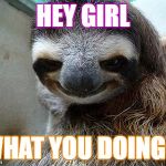 Creeper Sloth | HEY GIRL; WHAT YOU DOING ? | image tagged in creeper sloth | made w/ Imgflip meme maker
