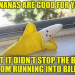 Seductive Banana | BANANAS ARE GOOD FOR YOU, BUT IT DIDN'T STOP THE BUS FROM RUNNING INTO BILLY... | image tagged in seductive banana,memes,banana,advice,funny,billy | made w/ Imgflip meme maker