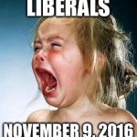crying girl | LIBERALS; NOVEMBER 9, 2016 | image tagged in crying girl | made w/ Imgflip meme maker