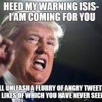 donald trump | HEED MY WARNING ISIS- I AM COMING FOR YOU; I WILL UNLEASH A FLURRY OF ANGRY TWEETS ON YOU THE LIKES OF WHICH YOU HAVE NEVER SEEN BEFORE | image tagged in donald trump | made w/ Imgflip meme maker