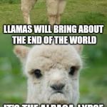 Alpaca Bad Pun | LLAMAS WILL BRING ABOUT THE END OF THE WORLD; IT'S THE ALPACA-LYPSE | image tagged in alpaca bad pun | made w/ Imgflip meme maker