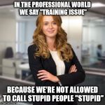 Successful Business Woman | IN THE PROFESSIONAL WORLD WE SAY "TRAINING ISSUE"; BECAUSE WE'RE NOT ALLOWED TO CALL STUPID PEOPLE "STUPID" | image tagged in successful business woman | made w/ Imgflip meme maker