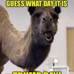 Mike! | MIKE!  MIKE! GUESS WHAT DAY IT IS; TRUMP DAY! | image tagged in camel,trump,inauguration day | made w/ Imgflip meme maker