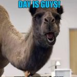 Saturdays Are Better Than Mondays | GUESS WHAT DAY IS GUYS! IT'S SATURDAY! | image tagged in camel | made w/ Imgflip meme maker