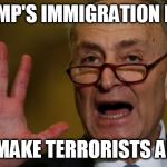 Chuck Schumer | TRUMP'S IMMIGRATION PLAN; WILL MAKE TERRORISTS ANGRY! | image tagged in chuck schumer | made w/ Imgflip meme maker