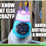 Happy birthday pug | YOU KNOW WHAT ELSE IS CRAZY? HAVING A BIRTHDAY ON A MONDAY!!! | image tagged in happy birthday pug | made w/ Imgflip meme maker