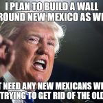 donald trump | I PLAN TO BUILD A WALL AROUND NEW MEXICO AS WELL; I DON'T NEED ANY NEW MEXICANS WHEN I'M STILL TRYING TO GET RID OF THE OLD ONES | image tagged in donald trump | made w/ Imgflip meme maker