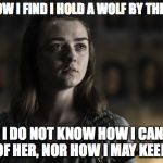 A girl is Arya Stark | FOR NOW I FIND I HOLD A WOLF BY THE EARS; AND I DO NOT KNOW HOW I CAN GET RID OF HER, NOR HOW I MAY KEEP HER | image tagged in a girl is arya stark | made w/ Imgflip meme maker