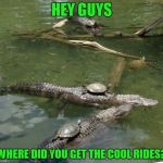 As usual, Carl was the last to join the latest fad | HEY GUYS; WHERE DID YOU GET THE COOL RIDES? | image tagged in stupid humor,i like turtles,silence water horse! | made w/ Imgflip meme maker