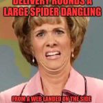 Ew!  True Story! | TODAY DURING MY DELIVERY ROUNDS A LARGE SPIDER DANGLING; FROM A WEB LANDED ON THE SIDE OF MY LIPS THEN I SPIT IT AWAY... THEN PULLED THE WEB OUTTA MY HAIR! | image tagged in grossed out,memes,funny,funny memes,gross,nope | made w/ Imgflip meme maker