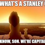 MUFASA AND SIMBA | DAD, WHAT'S A STANLEY CUP? I DON'T KNOW, SON. WE'RE CAPITALS FANS. | image tagged in mufasa and simba | made w/ Imgflip meme maker