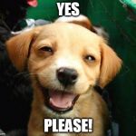 happy dog | YES; PLEASE! | image tagged in happy dog | made w/ Imgflip meme maker