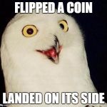 O RLY? | FLIPPED A COIN; LANDED ON ITS SIDE | image tagged in o rly | made w/ Imgflip meme maker
