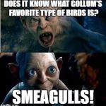 Gollum-Smeagol | DOES IT KNOW WHAT GOLLUM'S FAVORITE TYPE OF BIRDS IS? SMEAGULLS! | image tagged in gollum-smeagol | made w/ Imgflip meme maker