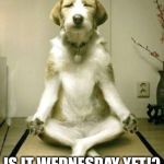 Yoga Dog | IS IT WEDNESDAY YET!? | image tagged in yoga dog | made w/ Imgflip meme maker