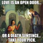Romeo and Juliet Balcony Scene  | LOVE IS AN OPEN DOOR... OR A DEATH SENTENCE... TAKE YOUR PICK. | image tagged in romeo and juliet balcony scene | made w/ Imgflip meme maker