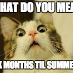 shocked | WHAT DO YOU MEAN; SIX MONTHS TIL SUMMER? | image tagged in shocked | made w/ Imgflip meme maker