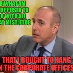 Matt Lauer | SO WHAT AM I SUPPOSED TO DO WITH ALL THAT MISTLETOE; THAT I BOUGHT TO HANG IN THE CORPORATE OFFICES? | image tagged in matt lauer | made w/ Imgflip meme maker