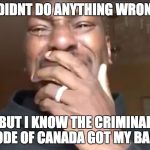Tyrese - What more do you want from me | I DIDNT DO ANYTHING WRONG; BUT I KNOW THE CRIMINAL CODE OF CANADA GOT MY BACK | image tagged in tyrese - what more do you want from me | made w/ Imgflip meme maker