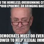 Chuck Schumer Crying | NEVER MIND THE HOMELESS OVERRUNNING CITY STREETS, THE OPIOID EPIDEMIC, OR BRINGING BACK JOBS; WE AS DEMOCRATS MUST DO EVERYTHING IN OUR POWER TO HELP ILLEGAL IMMIGRANTS | image tagged in chuck schumer crying | made w/ Imgflip meme maker