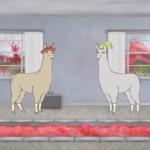 Llamas With Hats Meat Dragon meme