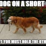 parkrun dog, short lead, | ONE DOG ON A SHORT LEAD; YES! BUT YOU MUST HOLD THE OTHER END. | image tagged in dog walking itself | made w/ Imgflip meme maker