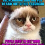 Trashy Memes | THE NEIGHBOR SAID FOR YOU TO STAY OUT OF HIS TRASHCAN; YOU'LL HAVE TO GET YOUR MEME IDEAS SOMEWHERE ELSE | image tagged in memes,grumpy cat reverse,grumpy cat,trash | made w/ Imgflip meme maker