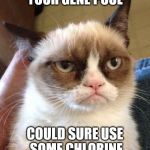 Grumpy Cat Reverse | YOUR GENE POOL; COULD SURE USE SOME CHLORINE | image tagged in memes,grumpy cat reverse,grumpy cat | made w/ Imgflip meme maker