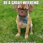 Grumpy Puppy Earl | LOOKS LIKE ITS GONNA BE A GREAT WEEKEND.. AND IM ON CALL!! | image tagged in grumpy puppy earl | made w/ Imgflip meme maker