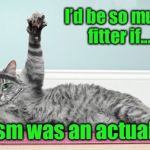 Feel the “burn”  | I’d be so much fitter if.... Sarcasm was an actual sport | image tagged in exercise cat,drsarcasm,sarcasm,funny cats,funny meme | made w/ Imgflip meme maker