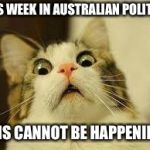 shocked | THIS WEEK IN AUSTRALIAN POLITICS; THIS CANNOT BE HAPPENING! | image tagged in shocked | made w/ Imgflip meme maker