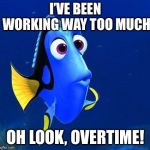 dory | I’VE BEEN WORKING WAY TOO MUCH; OH LOOK, OVERTIME! | image tagged in dory | made w/ Imgflip meme maker