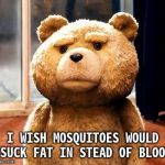 TED | I WISH MOSQUITOES WOULD SUCK FAT IN STEAD OF BLOOD | image tagged in memes,ted | made w/ Imgflip meme maker