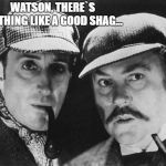 sherlock holmes | WATSON, THERE`S NOTHING LIKE A GOOD SHAG... | image tagged in sherlock holmes | made w/ Imgflip meme maker