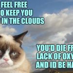 Can't wait for people to correct my science on this one. | FEEL FREE TO KEEP YOU HEAD IN THE CLOUDS; YOU'D DIE FROM LACK OF OXYGEN AND ID BE HAPPY | image tagged in memes,grumpy cat sky,grumpy cat,clouds | made w/ Imgflip meme maker