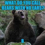 Duh | WHAT DO YOU CALL BEARS WITH NO EARS? B | image tagged in sarcastic bear | made w/ Imgflip meme maker
