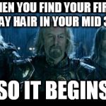 so it begins | WHEN YOU FIND YOUR FIRST GRAY HAIR IN YOUR MID 30S; "SO IT BEGINS" | image tagged in so it begins | made w/ Imgflip meme maker