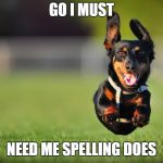 Dog Running | GO I MUST; NEED ME SPELLING DOES | image tagged in dog running | made w/ Imgflip meme maker
