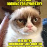 Grumpy Cat Reverse Meme | IF YOU ARE LOOKING FOR SYMPATHY; IT IS IN THE DICTIONARLY AND LOCATED BETWEEN SHIT AND SYPHILIS. | image tagged in memes,grumpy cat reverse,grumpy cat | made w/ Imgflip meme maker