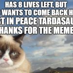Grumpy Cat Sky | HAS 8 LIVES LEFT, BUT WHO WANTS TO COME BACK HERE? REST IN PEACE TARDASAUCE, THANKS FOR THE MEMES. | image tagged in memes,grumpy cat sky,grumpy cat | made w/ Imgflip meme maker
